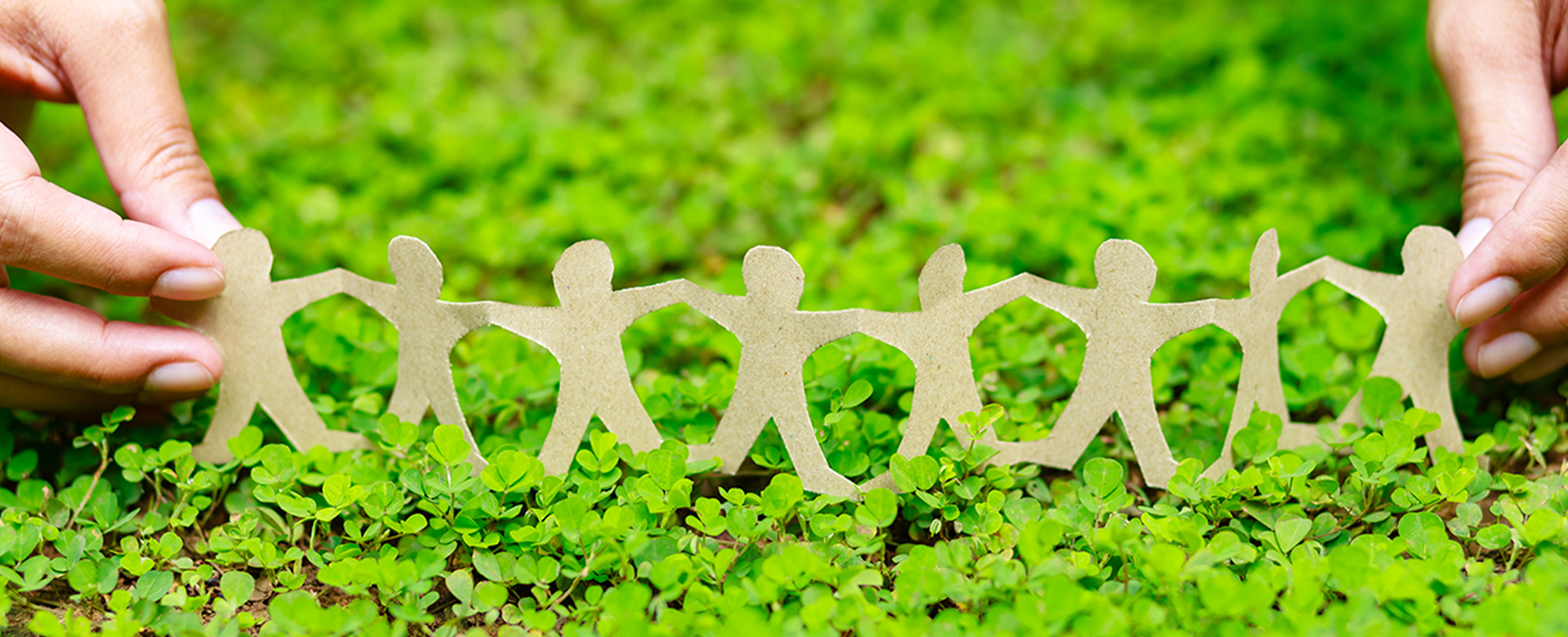 Rejoignez le conseil de développement durable