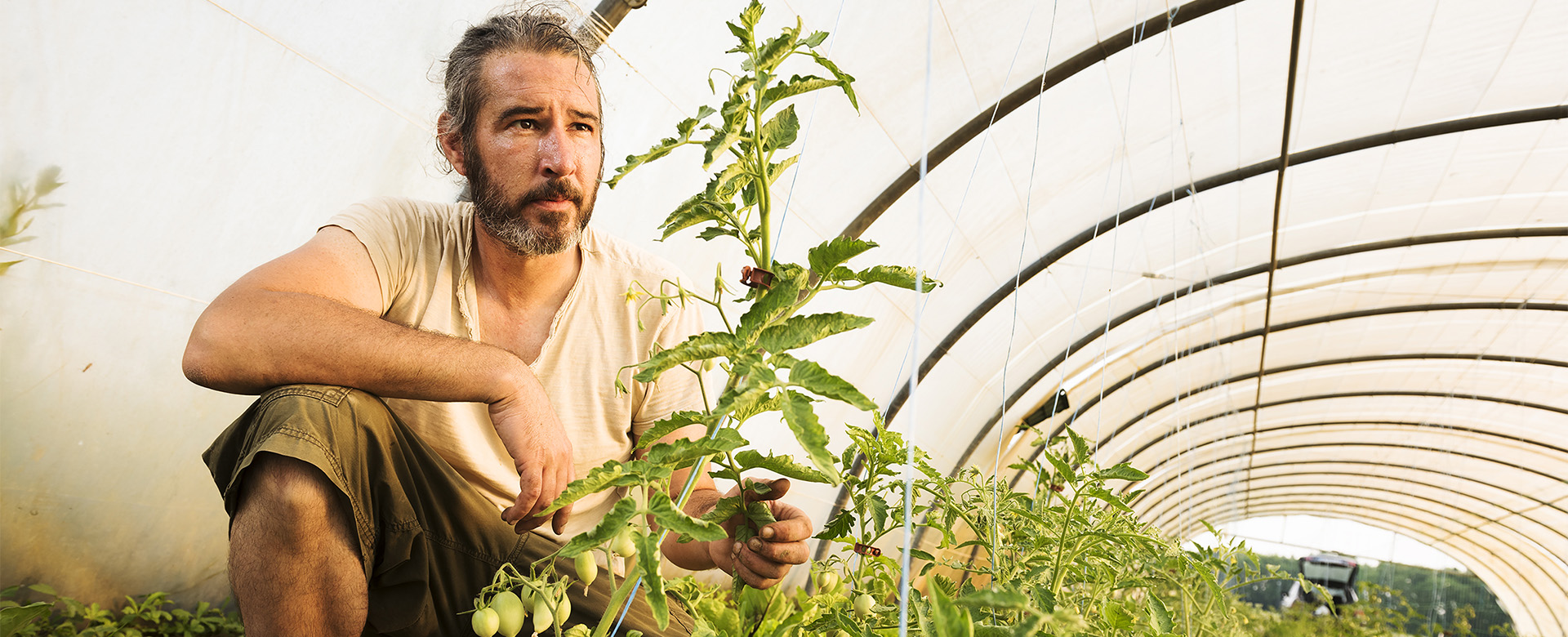 Un pôle d’agriculture biologique pour développer la filière bio