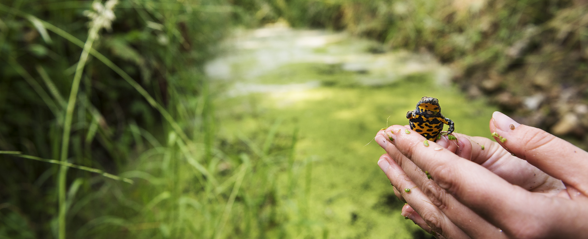 5 sites Natura 2000 animés par l’Agglo