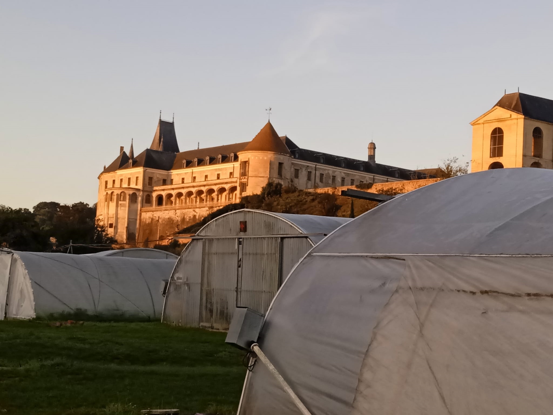 Les Légumes du Château : retour à la terre