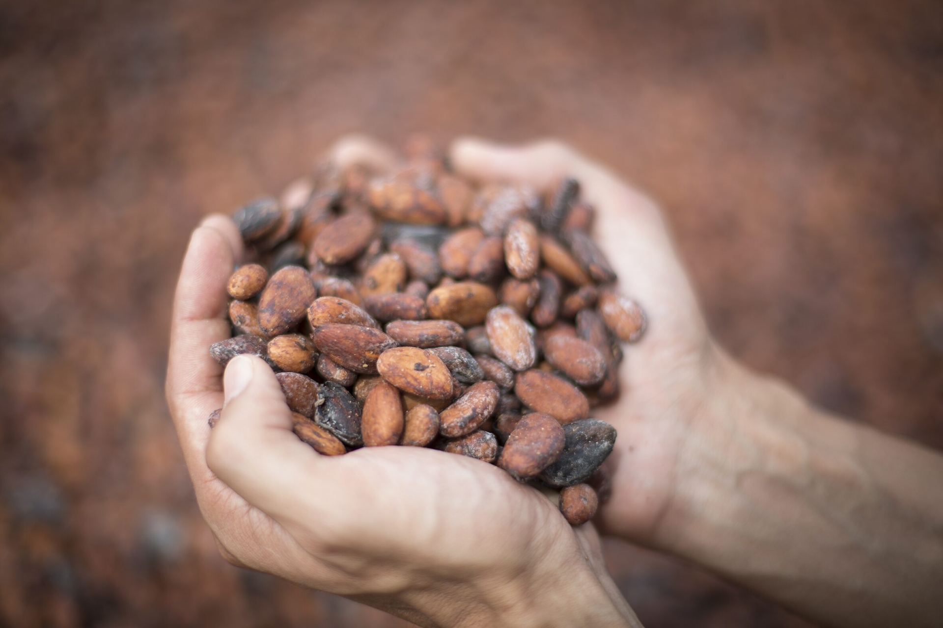 Barry Callebaut : une démarche RSE au niveau mondial