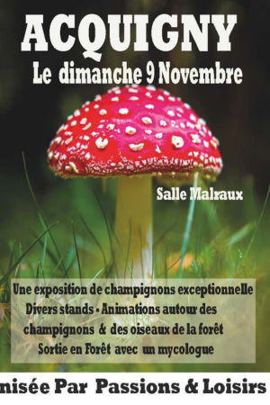 Ouvrir l'image en plus grand
