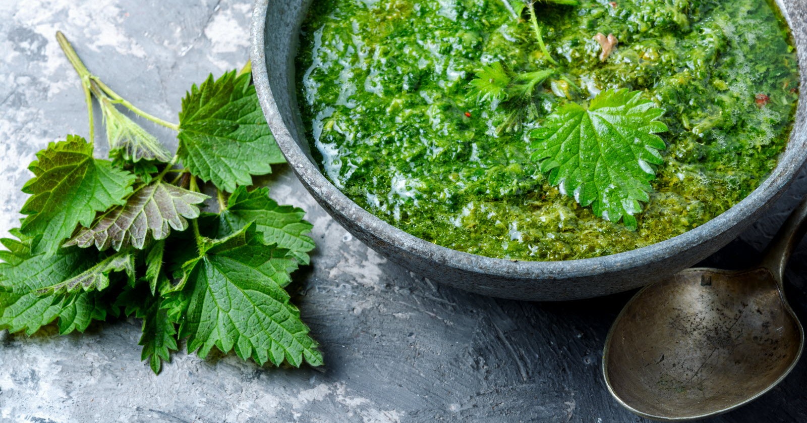 Atelier cuisine : L’ortie en cuisine