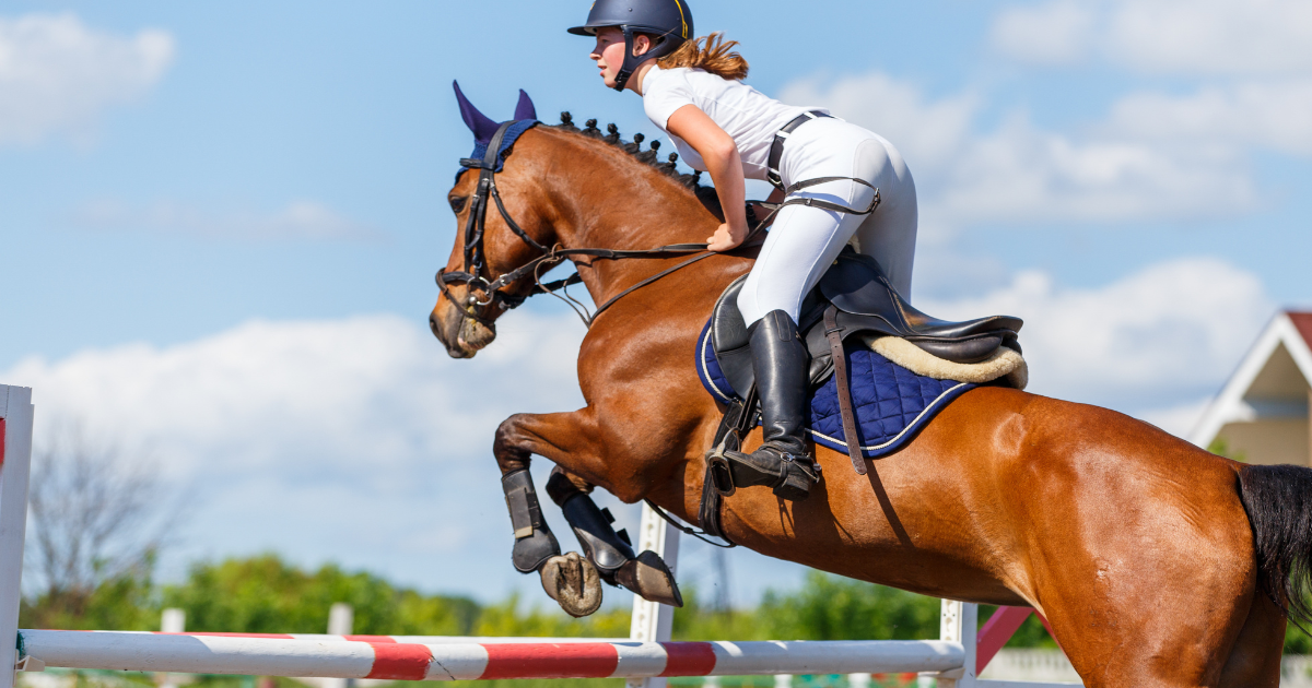 Concours hippique « Hunter is so chic » à Val-de-Reuil