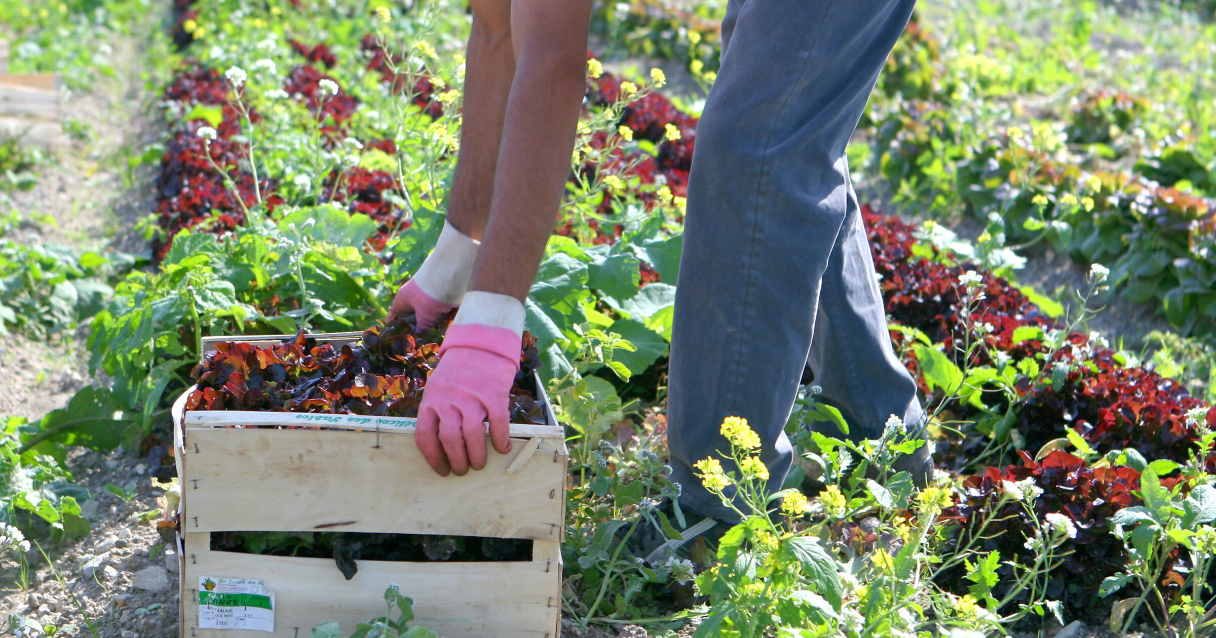Appel à projets agricoles : lancez-vous sur le territoire Seine-Eure